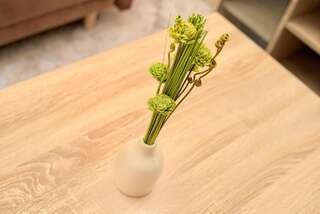 Апартаменты Apartment Vladan Котор Апартаменты с 1 спальней-24