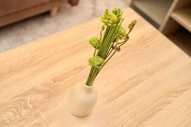 Апартаменты Apartment Vladan Котор-27